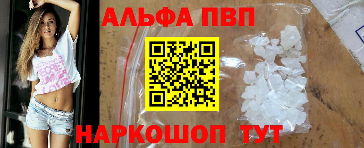 Альфа ПВП СК Королёв