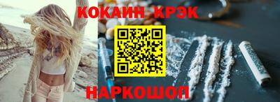 гашик Кингисепп