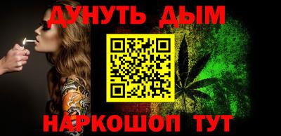 гашик Кингисепп