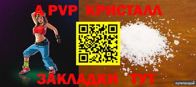 гашик Кингисепп