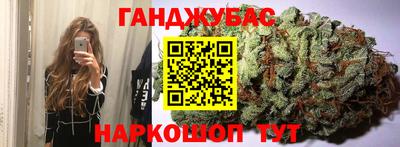 гашик Кингисепп