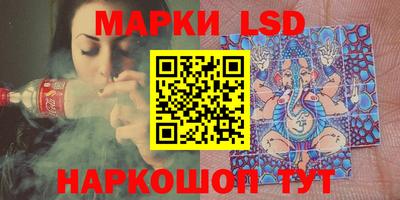 гашик Кингисепп