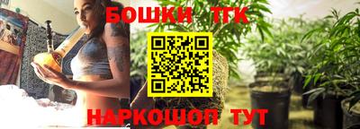 гашик Кингисепп