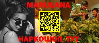 гашик Кингисепп