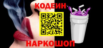 гашик Кингисепп