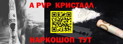 гашик Кингисепп