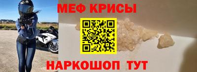 гашик Кингисепп