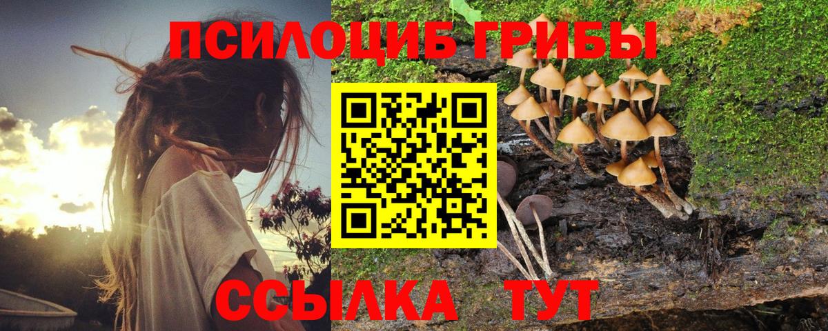 Галлюциногенные грибы мухоморы Королёв